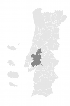 Tejo - DOC