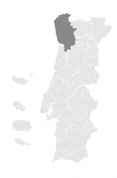 Vinho Verde - DOC
